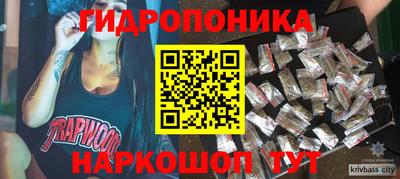 дурь Кингисепп
