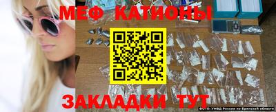 PSILOCYBIN Кимры