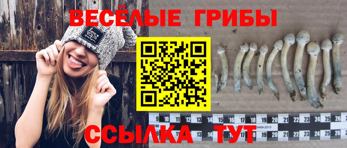 Галлюциногенные грибы ЛСД Котлас