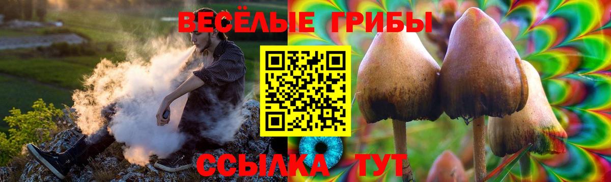 Галлюциногенные грибы Psilocybine cubensis  даркнет сайт  Котлас  Вход с VPN 